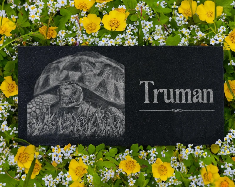Microfiber stockings for a lightweight optionCustom Turtle Memorial Marker | Tortoise Burial Marker Plaque | Pet Grave Markers Outdoor | Reptile Remembrance Gift | Photo Keepsake Microfiber stockings for a lightweight optionCustom Turtle Memorial Marker | Tortoise Burial Marker Plaque | Pet Grave Markers Outdoor | Reptile Remembrance Gift | Photo Keepsake