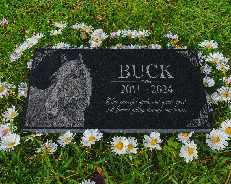 Lingerie - set stockings for a sexy lookCustomizable Granite Pony Horse Memorial: Engraved Headstone w/ Photo, Barn Marker, Burial Plaque Indoor/Outdoor Custom Horse Sympathy Gift
