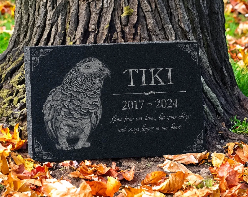 Silk stockings for a luxurious feelPhoto Pet Memorial Gift for Bird Lovers: Parakeet & African Grey Parrot Parakeet Cockatiel Lovebird Memorial Stone | Pet Loss Burial Marker Silk stockings for a luxurious feelPhoto Pet Memorial Gift for Bird Lovers: Parakeet & African Grey Parrot Parakeet Cockatiel Lovebird Memorial Stone | Pet Loss Burial Marker